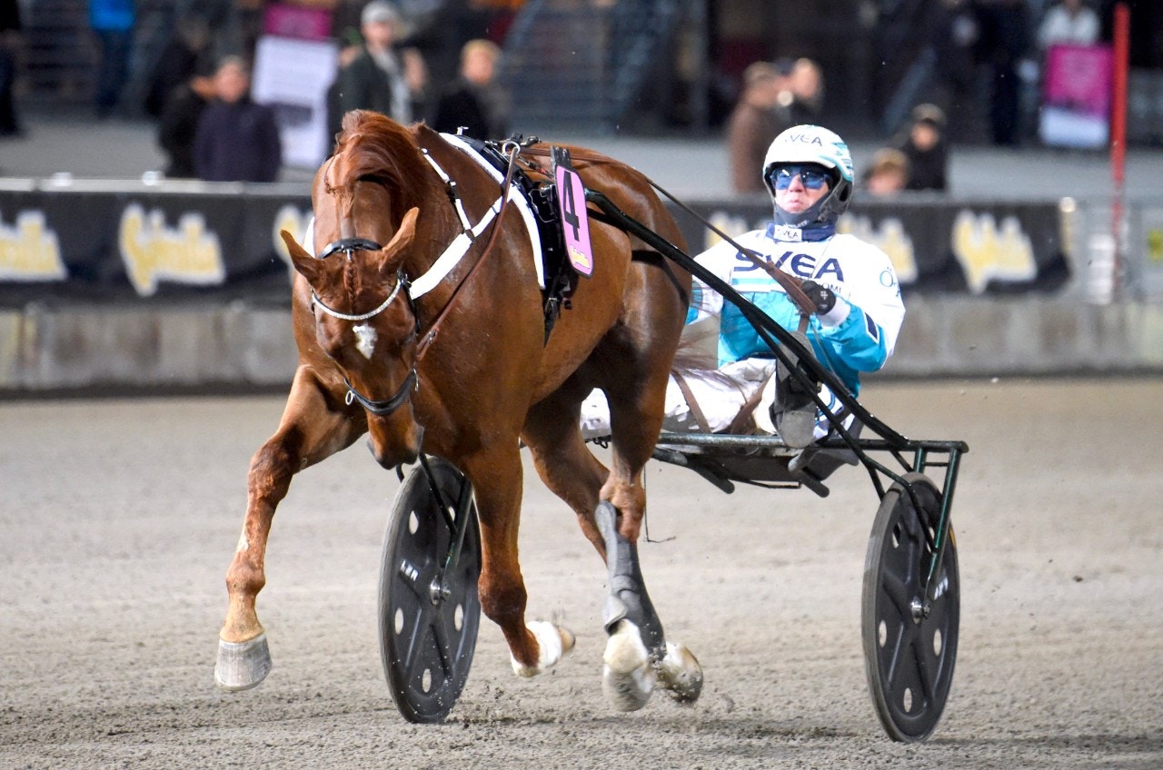 Nimbus C.D. gör intressant comeback. Foto: Martin Langels, ALN