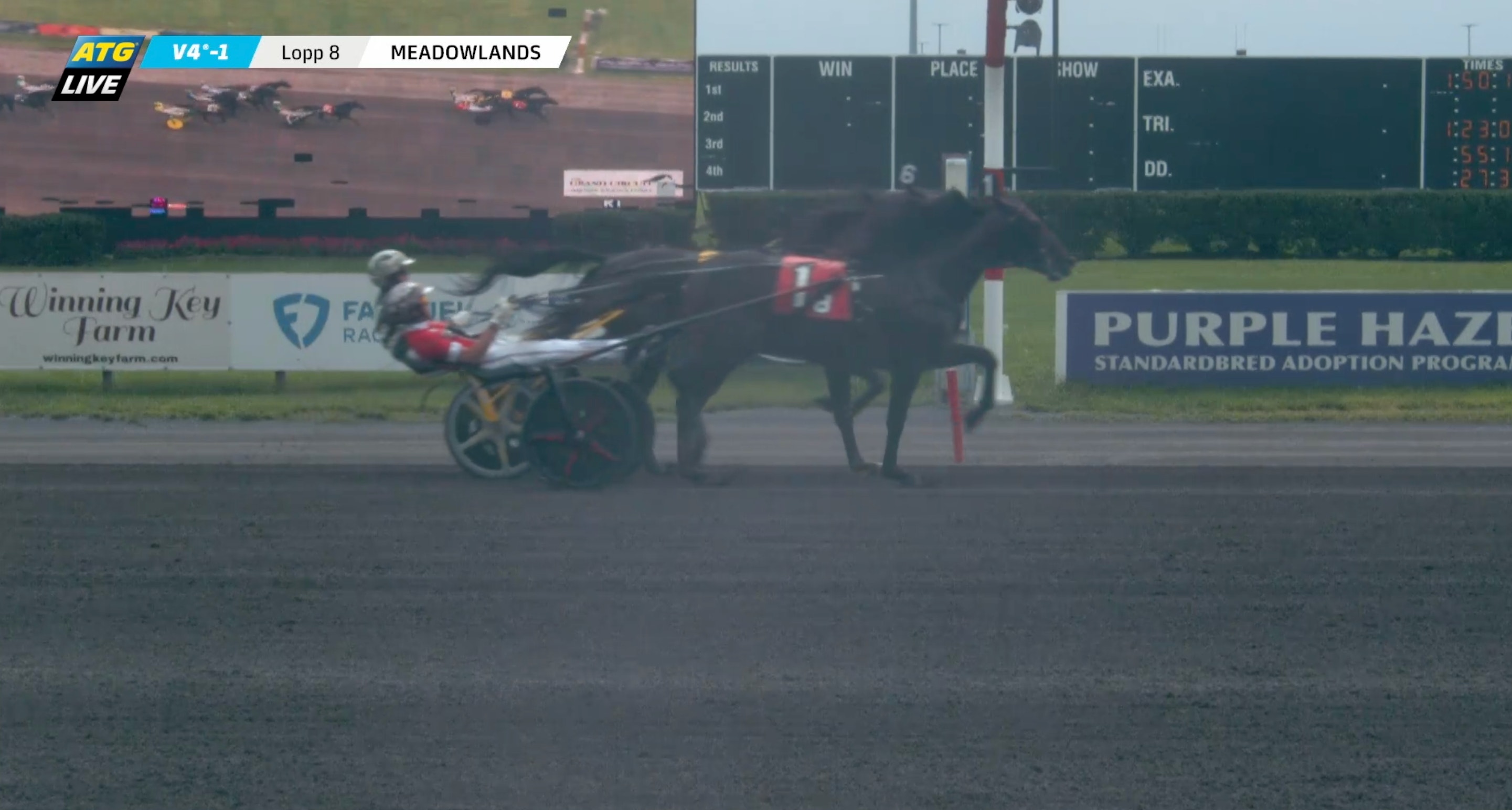 Knäckte världsmästaren från dödens – "kom till Elitloppet"