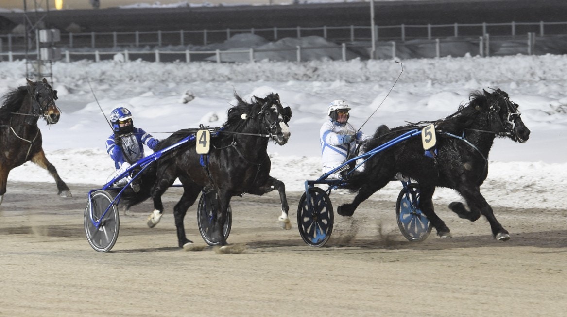 Alfie vann - blev tredje stoet över två miljoner kronor