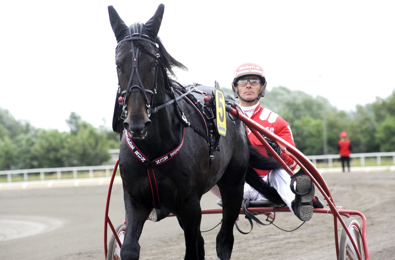 Jägersro 25 februari: Vi spelar en riktig springare i årsdebut