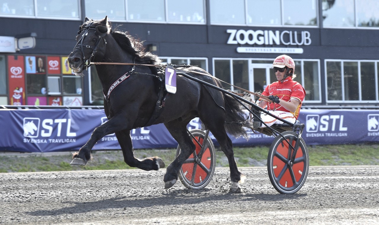 Odd Herakles förlängde segerraden ytterligare. Foto: Christer Norin, ALN