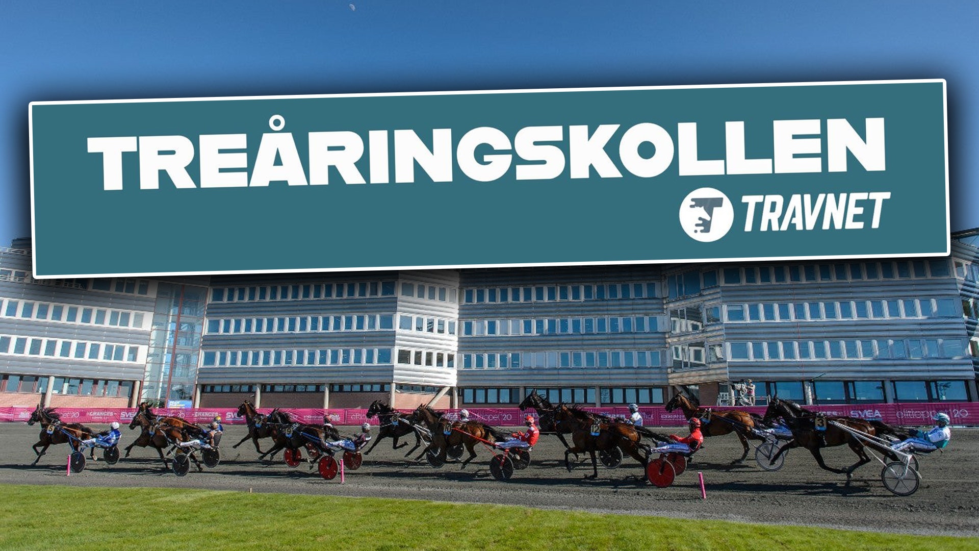 Här har du Travnets stora Treåringskoll