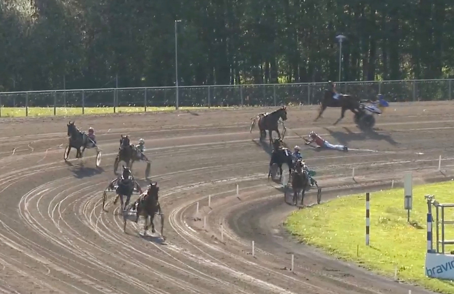 En häst med kusken har fallit på travbanan under ett lopp. Flera andra hästar och kuskar fortsätter att köra på banan i bakgrunden.