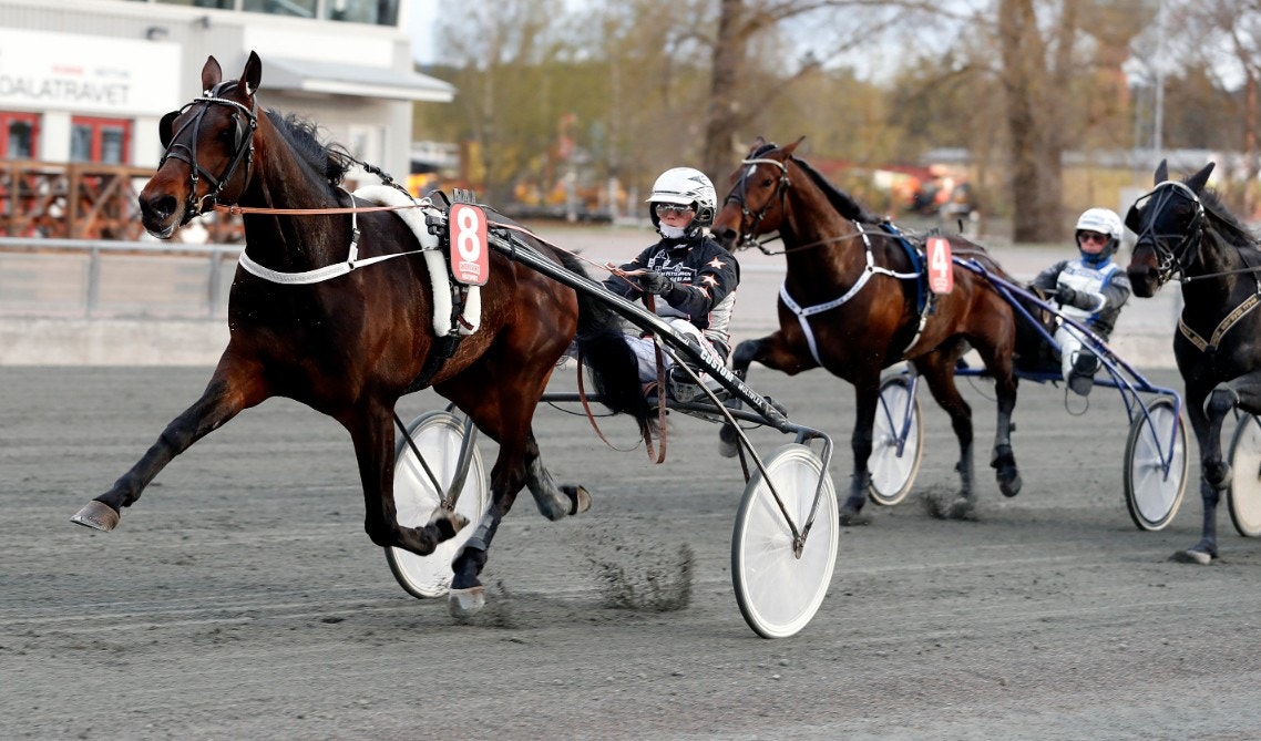 Emilia Leo-tränade No Doubt imponerade stort - vann sin uttagning på nytt svenskt rekord. Foto: Micke Gustafsson, ALN