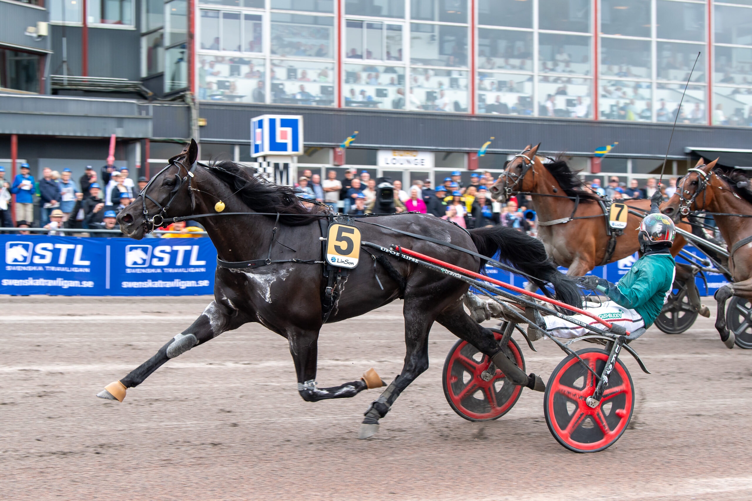 Foto: Mikael Rosenquist, TR Bild