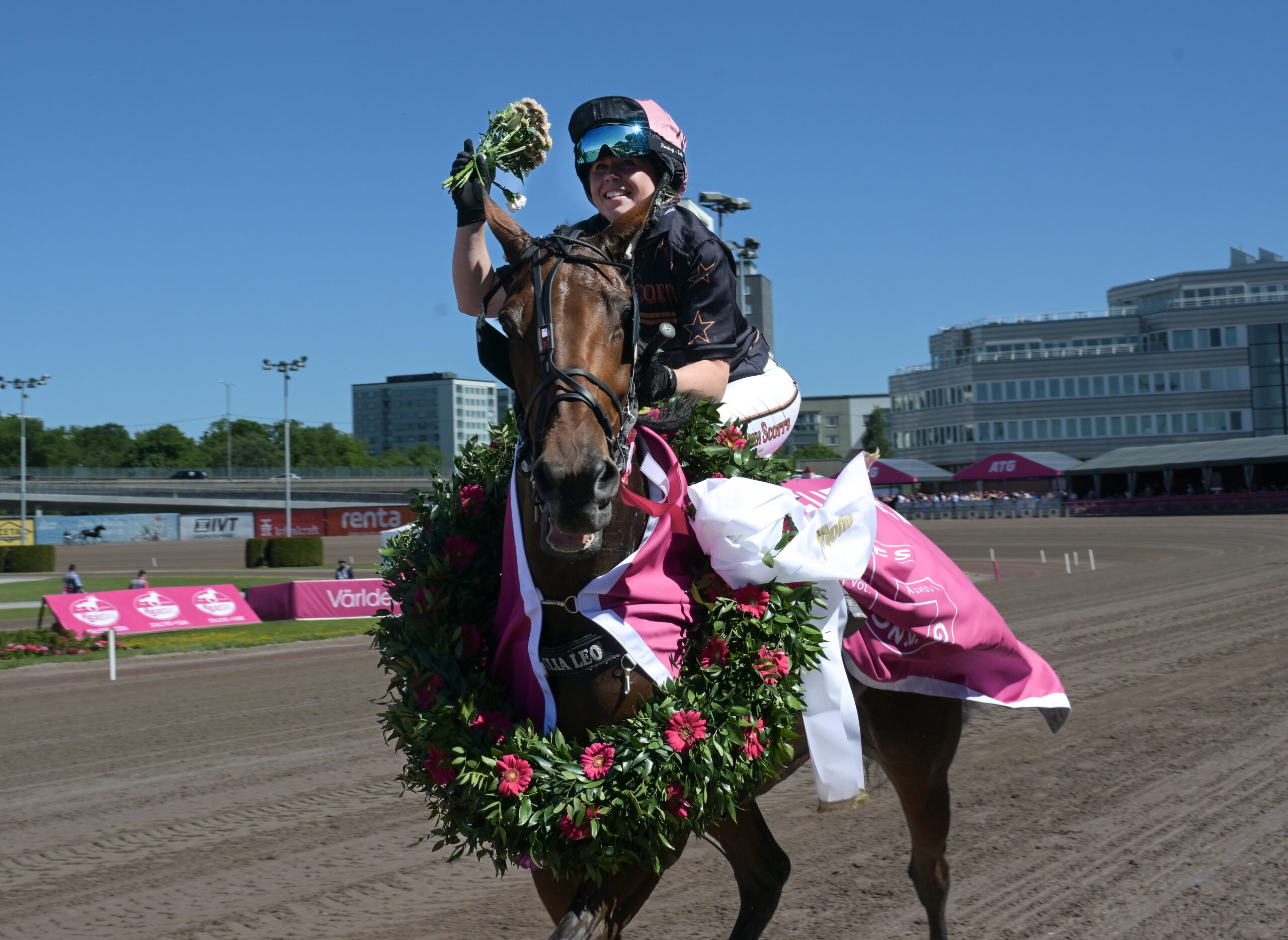 En ryttare på en svart häst som är dekorerad med blommor och grönt. Ryttaren håller upp en pokal efter en segerceremoni på en travbana.