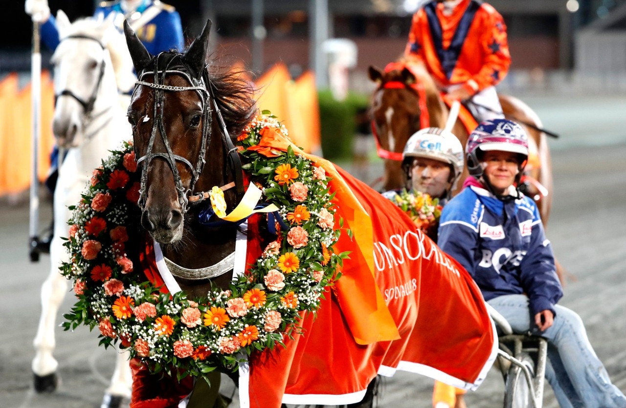 Makethemark närmar sig en spännande årsdebut. Foto: Micke Gustafsson, ALN