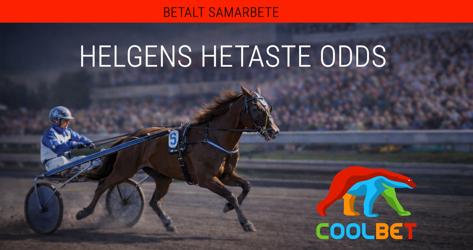 Helgens hetaste odds: ”7 gånger är för högt på liret”