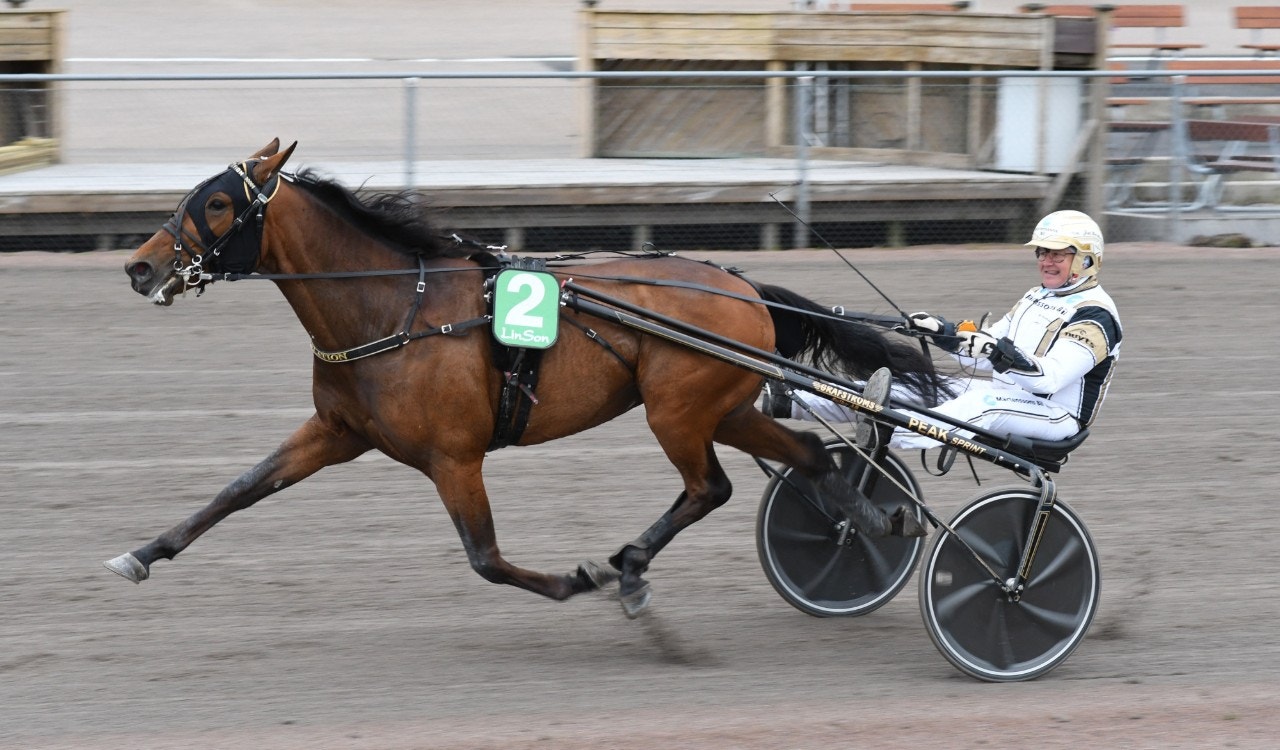 Revelation kommer inte till start i E3-finalen. Foto: Lars B Persson, ALN