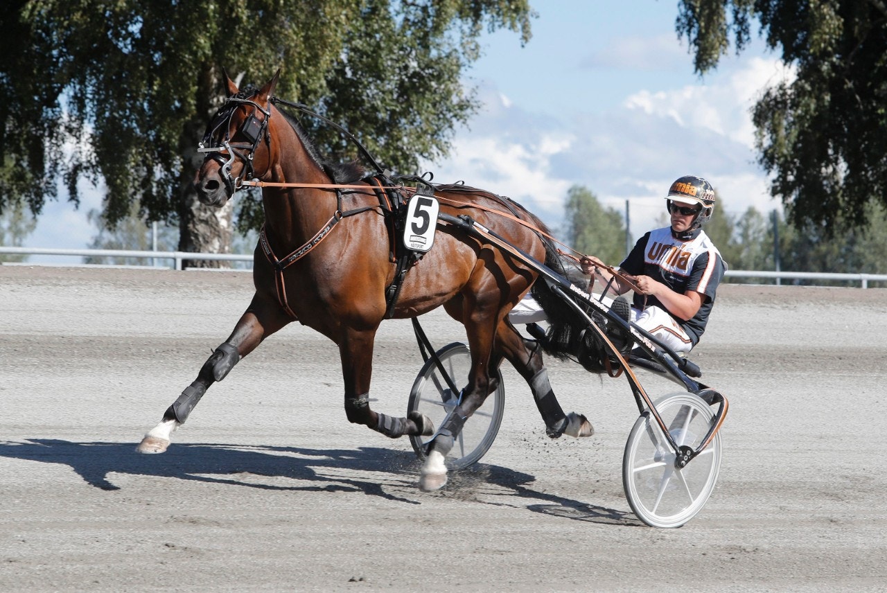 Even's Cool Boy med sin tränare Robert Dunder. Foto: ALN