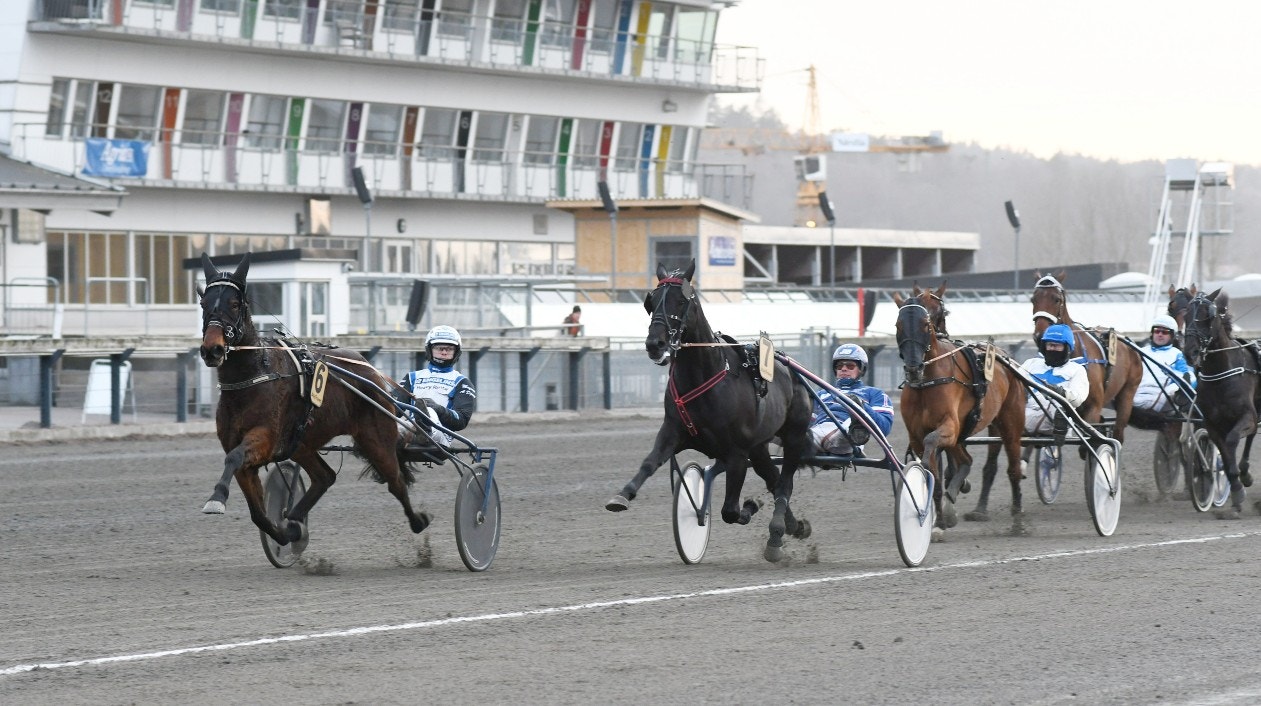 Floris Baldwin bjöd på en stark prestation när han vann Algot Scotts Minne på 1.10,8. Foto: Göran Lindskog, Sidmakarn/ALN