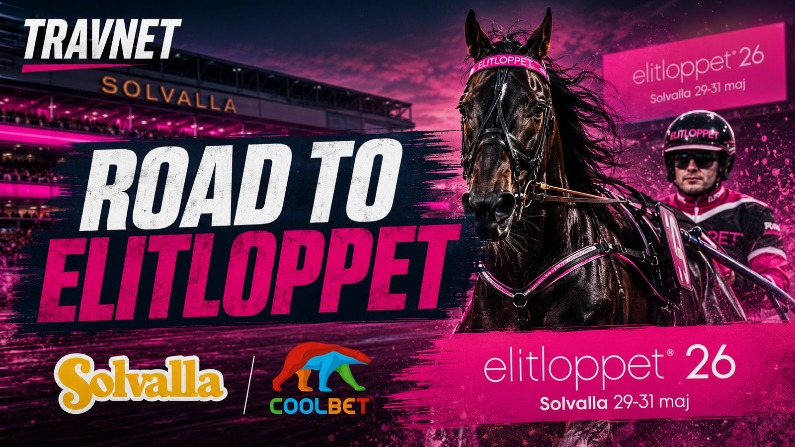Road to Elitloppet, avsnitt 2: Dessa går till final