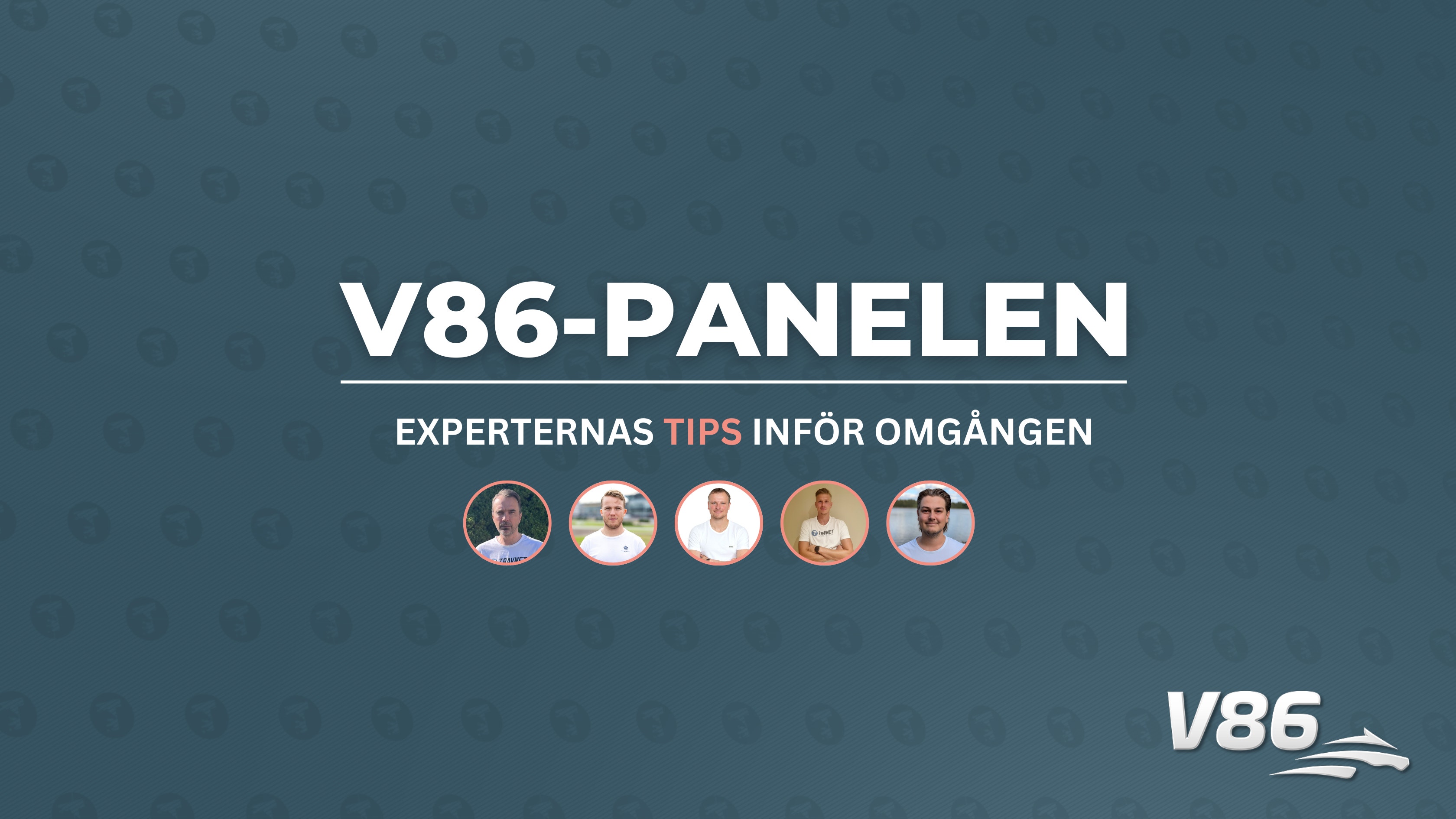 Inför V86: Profilernas bästa idéer Solvalla/Jägersro