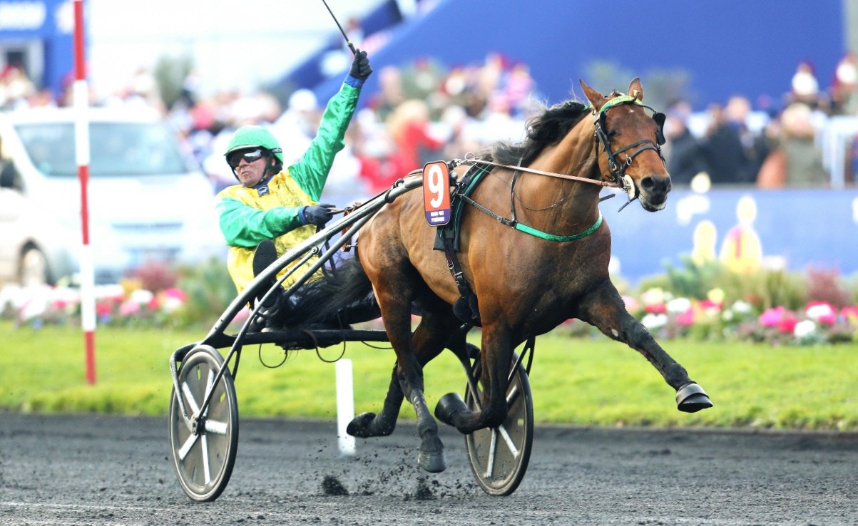 Face Time Bourbon var återigen kung av Vincennes. Foto: Elliott Chouraqui, Scoop Dyga/ALN