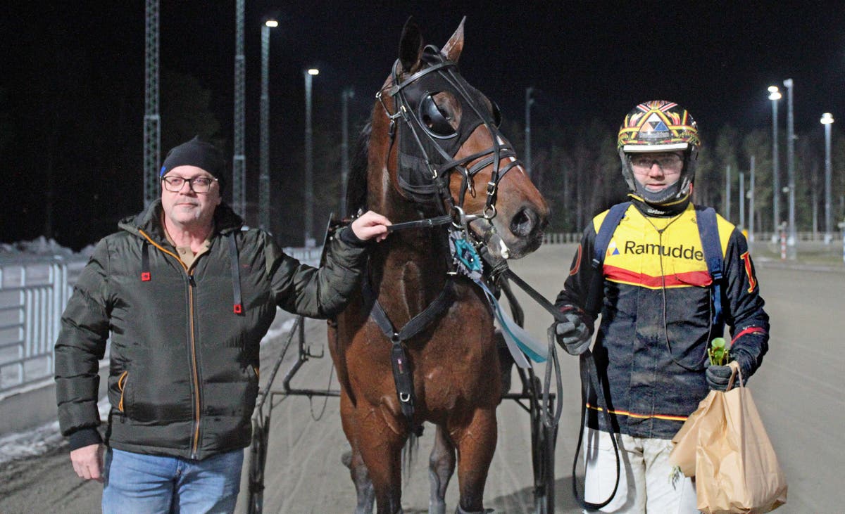 Bettle Hanover