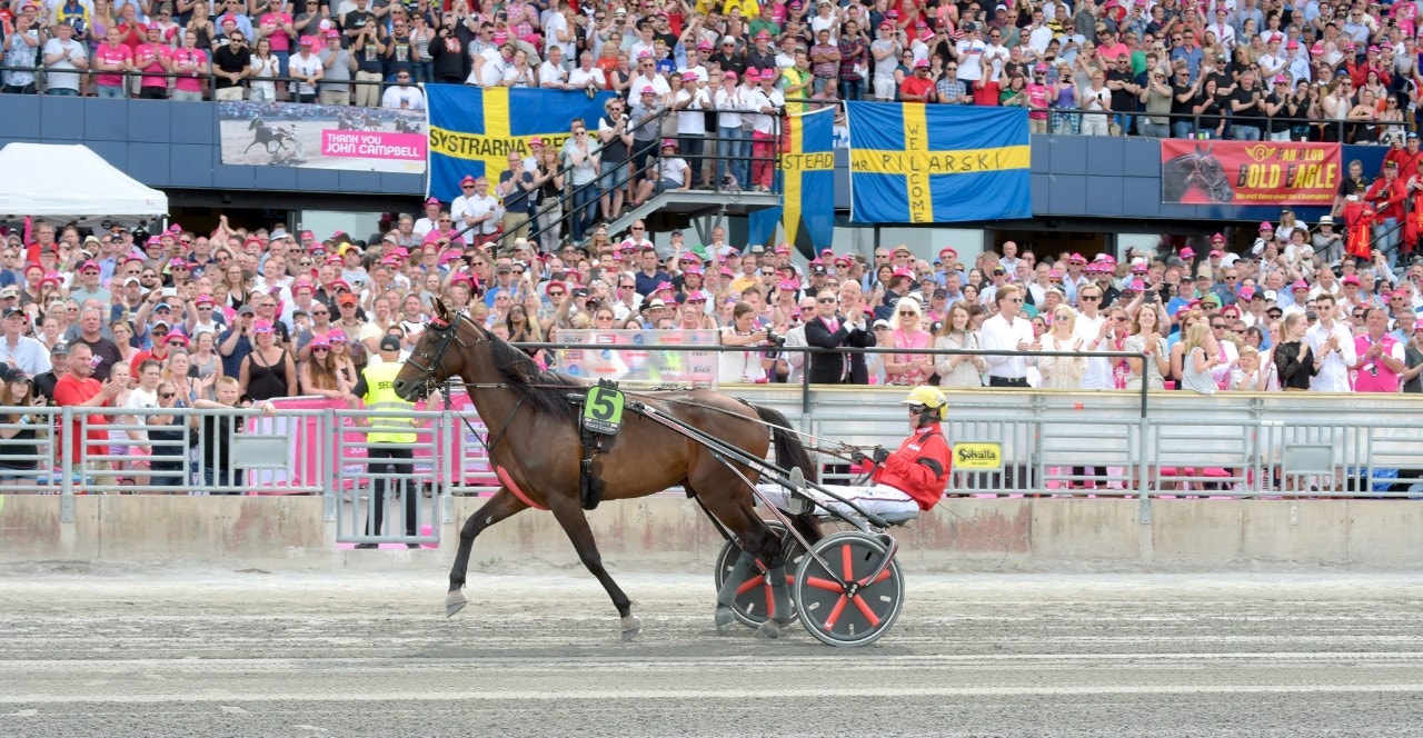 Bold Eagle är tillbaka - på söndag väntar en duell mot Aubrion du Gers i La Capelle. Foto: ALN