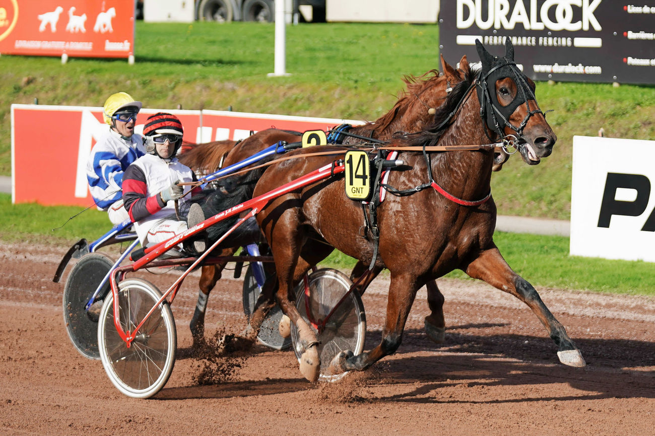 Cleangame förgyller Vincennes tävlingar på söndag. Foto: Gerard Forni, Scoop Dyga