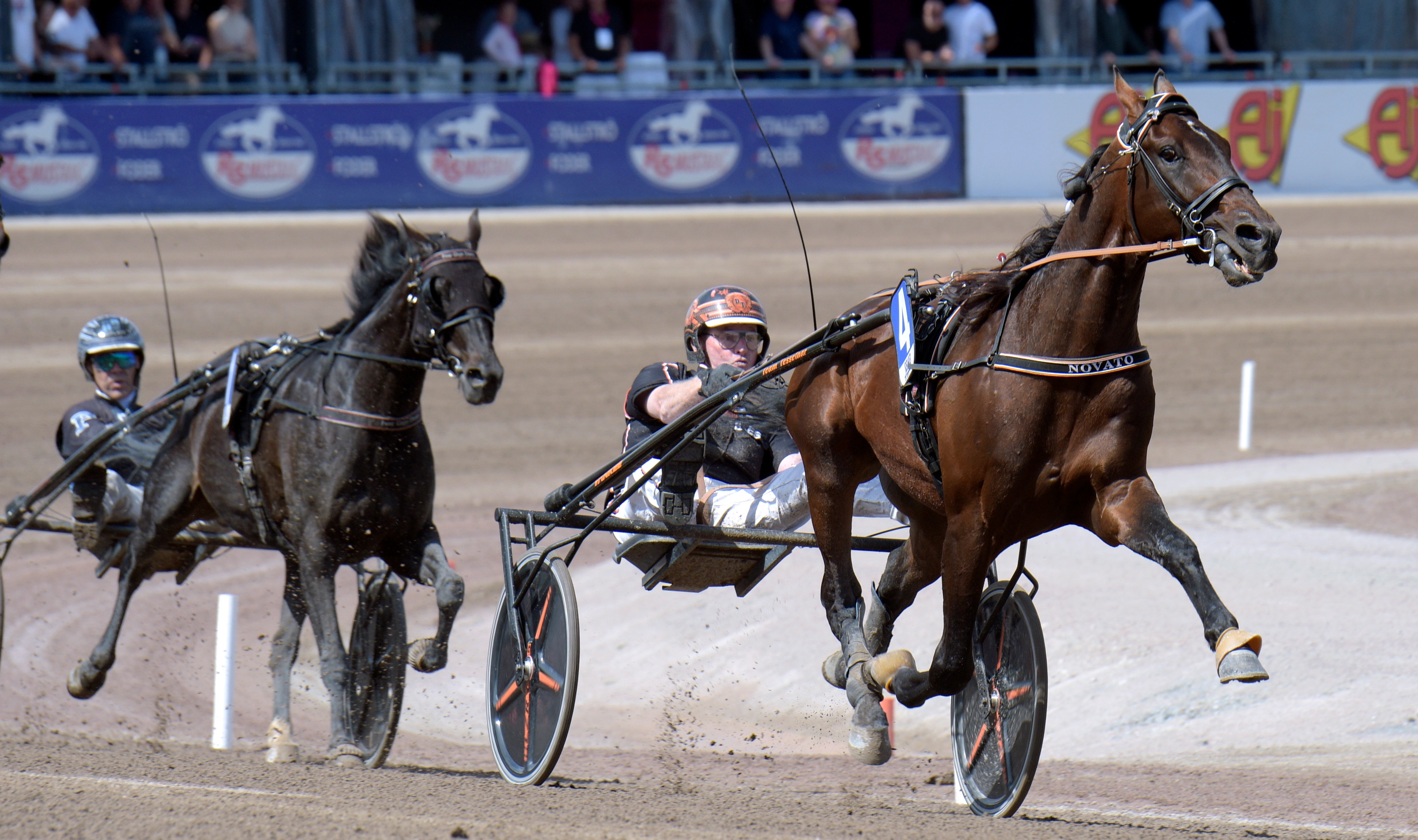 Två travhästar i full galopp under ett lopp. Hästarnas kuskar sitter i lätta vagnar och styr hästarna på en sandad travbana. Publikhakar syns i bakgrunden bakom en avspärrning.