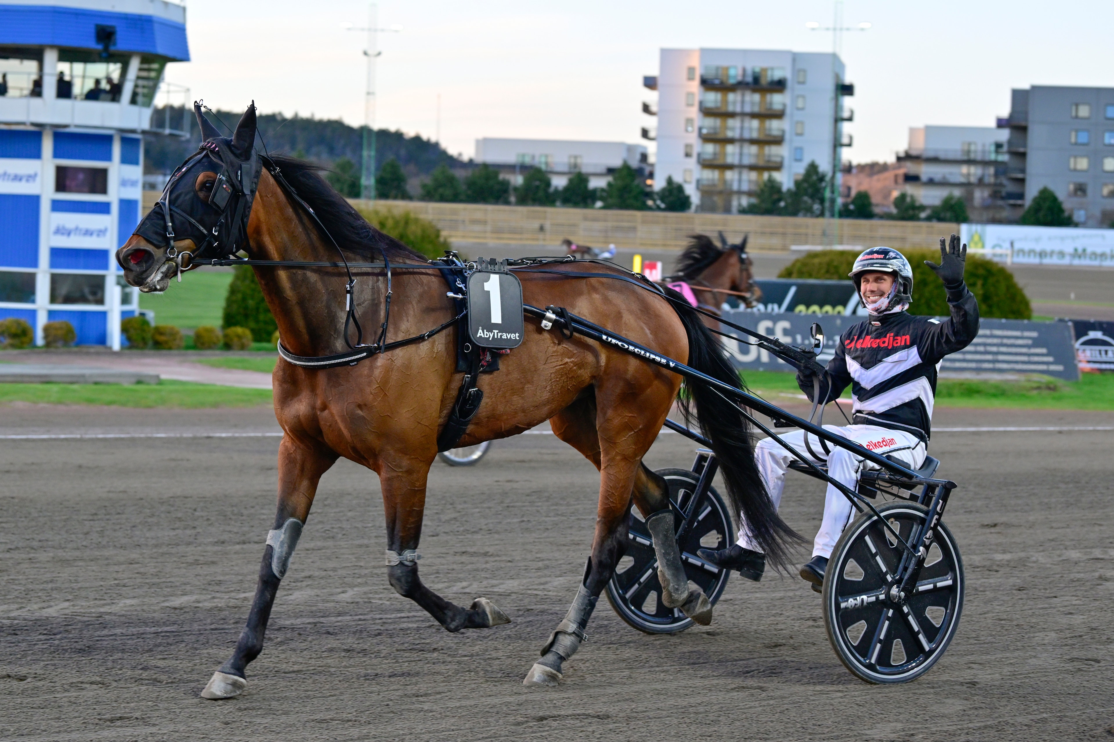 BESKEDET: Det händer med Törnqvists derbyhästar