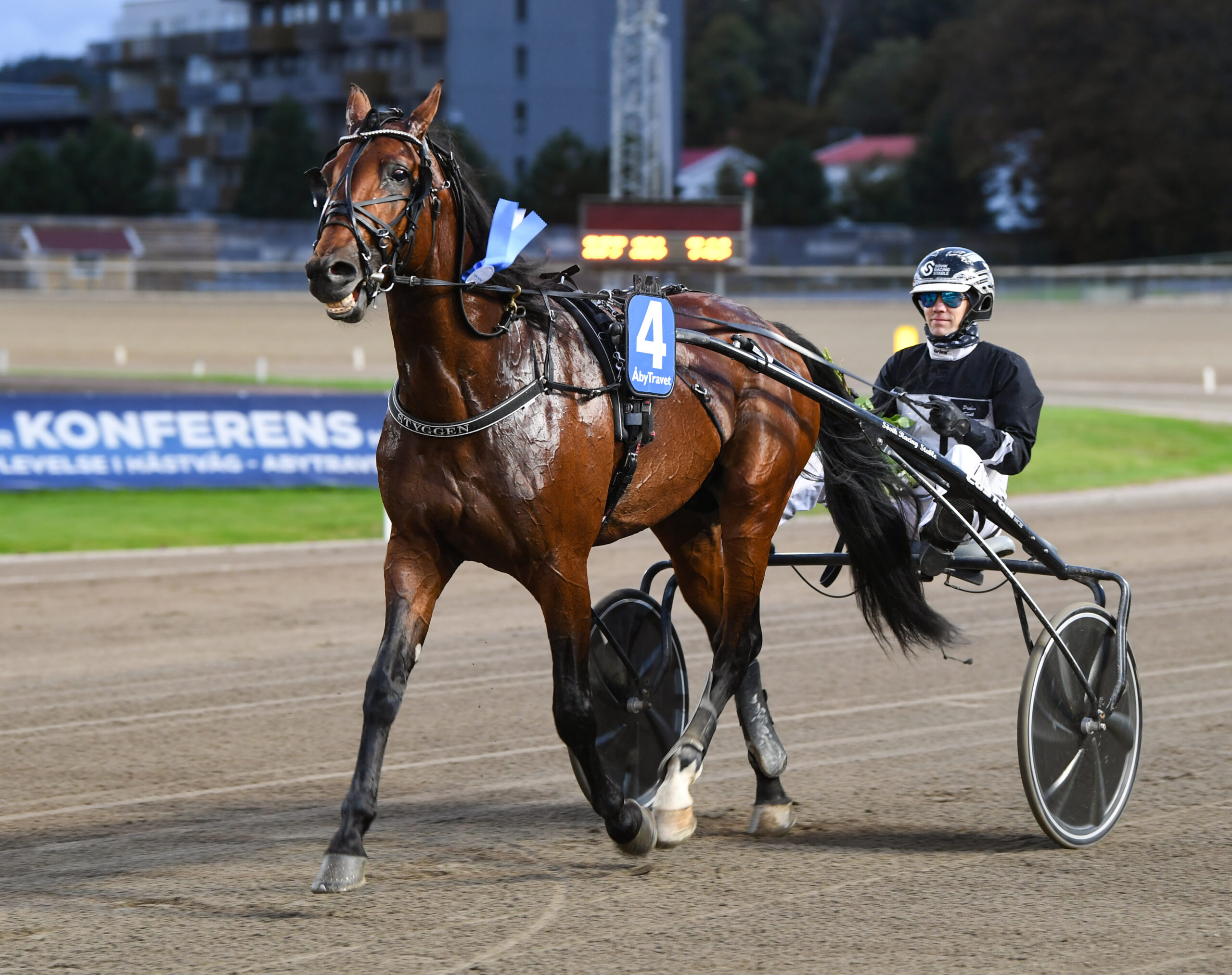 Foto: Malin Albinsson/TR Bild