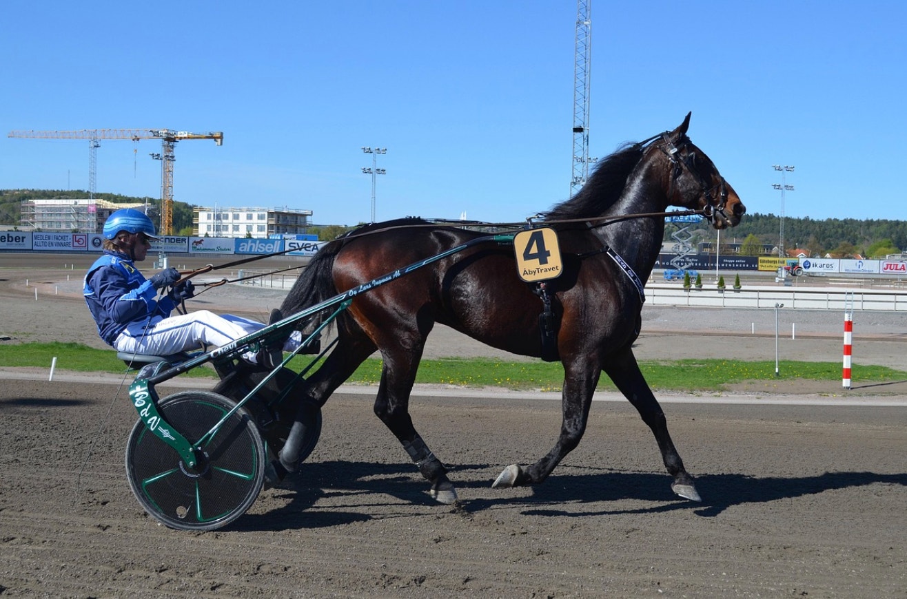 Därför ändrar ATG sina spelformer oftare än tidigare