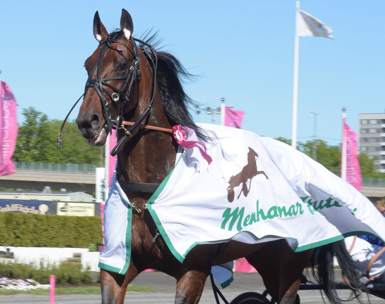 Fyraåringstestet blir ett topplopp