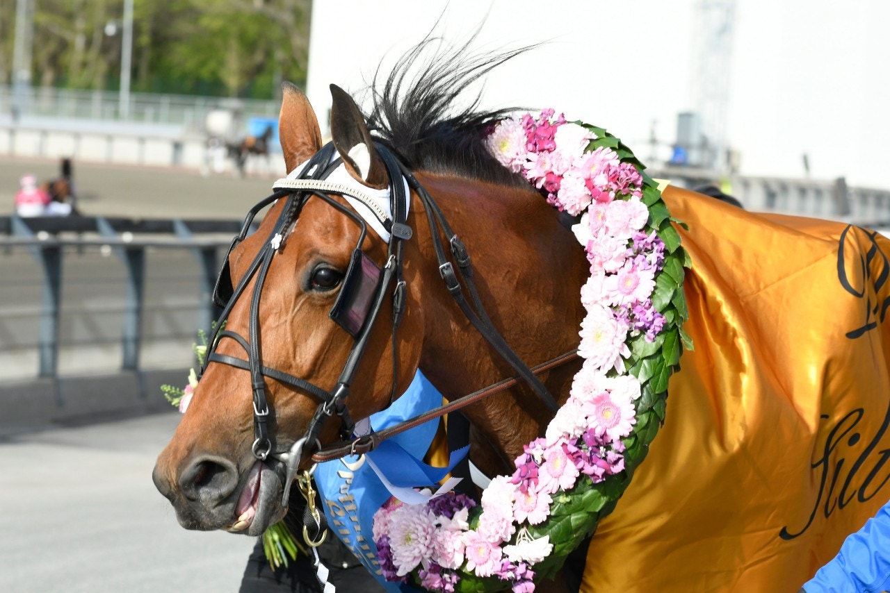 Diana Zet bekransad efter segern i Drottning Silvias Pokal i fjol. Foto: Göran Lindskog, Sidmakarn/ALN
