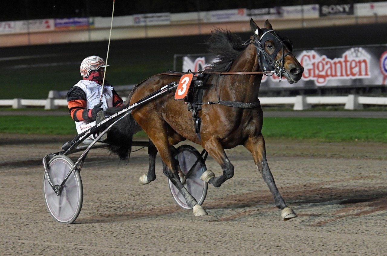 Ble du Gers kommer till kraftprovet Åby Stora Pris. Foto: Gerard Forni, Scoop Dyga