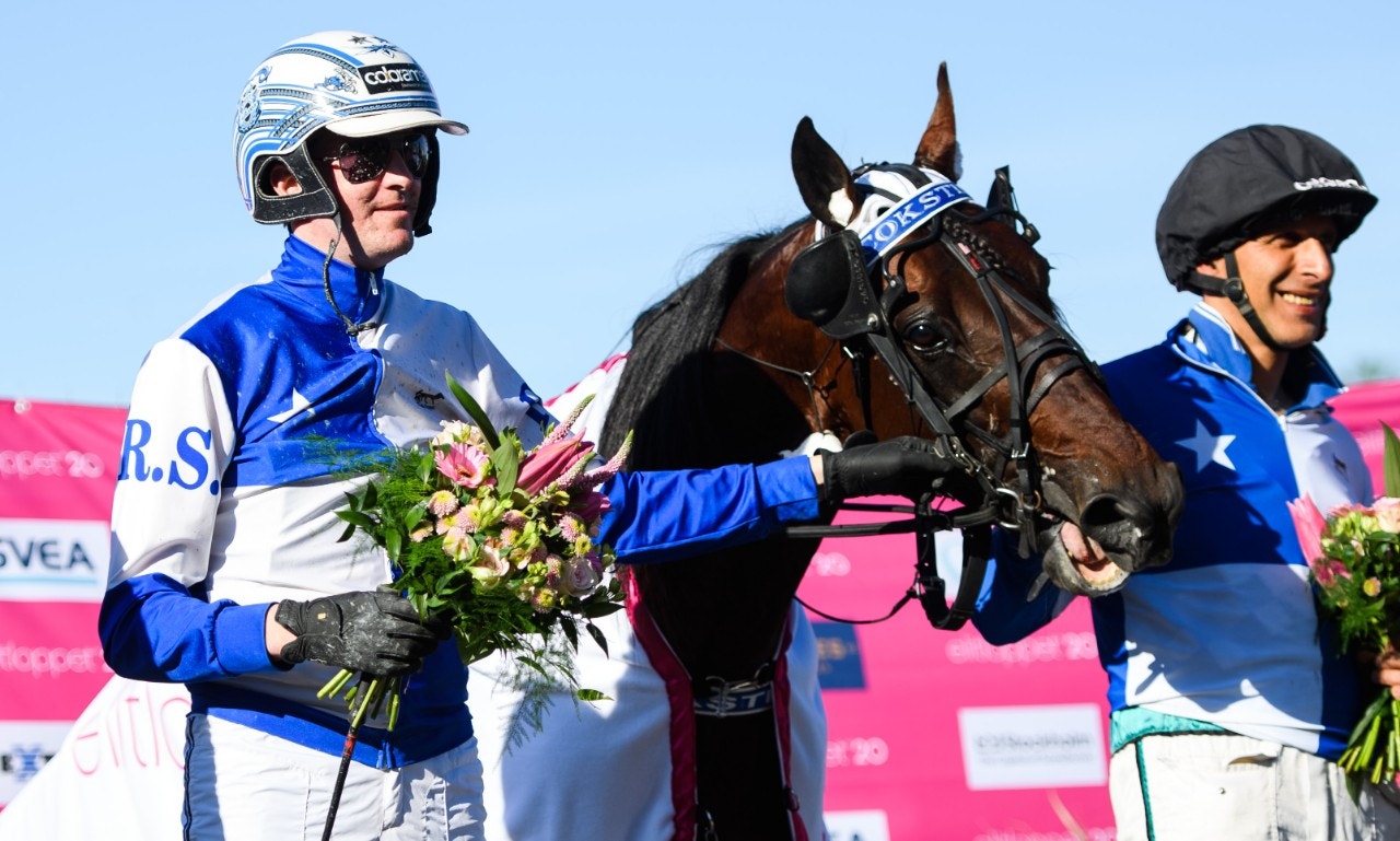 Cokstile gör första starten sedan Elitloppet när han möter ett stjärnspäckat gäng i Kymi Grand Prix. Foto: Simon Hastegård, Bildbyrån