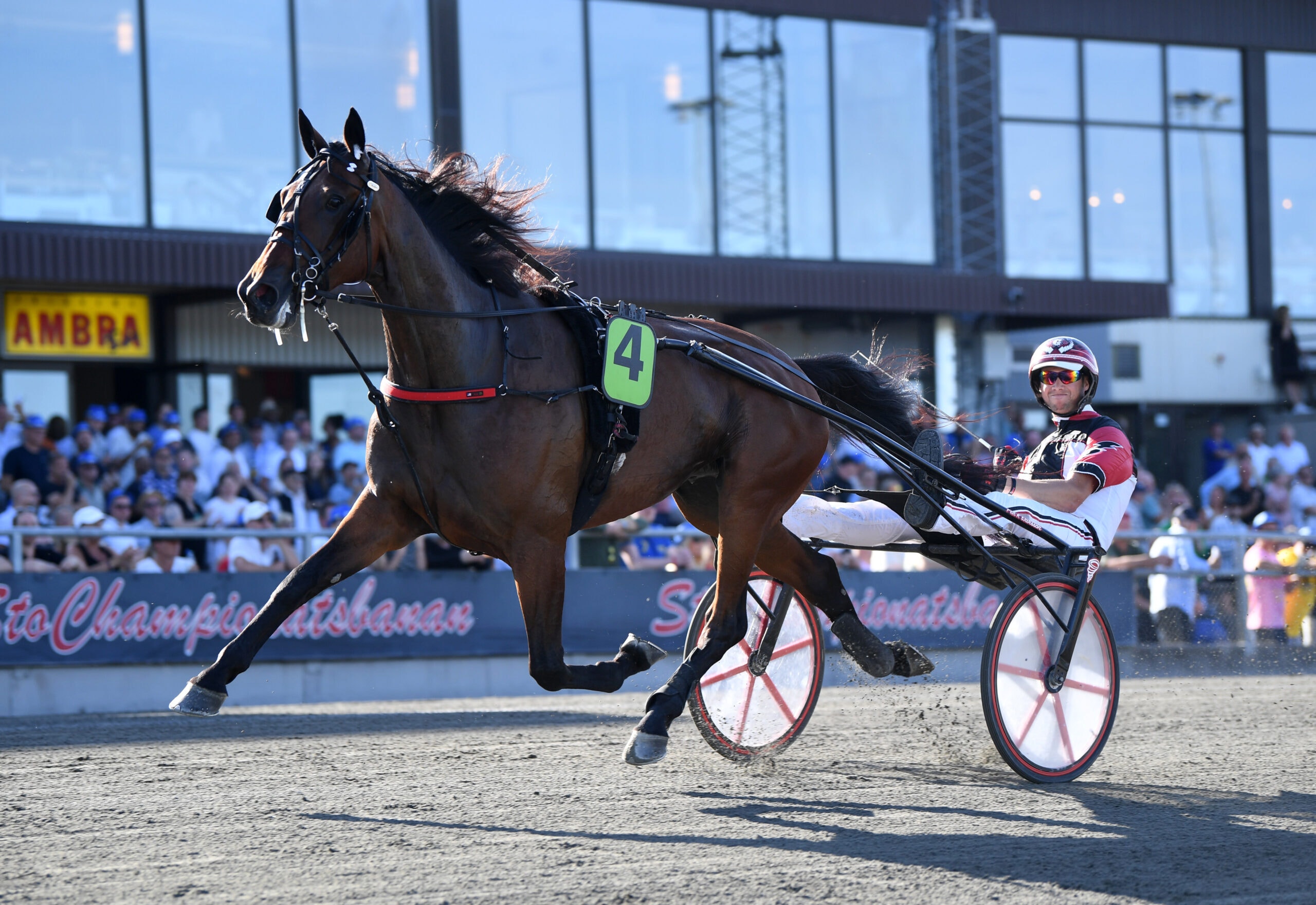 Topphästen närmar sig comeback 