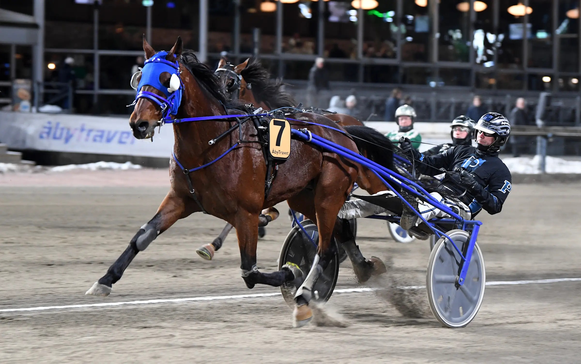 13-årige Income tog en lika efterlängtad som välförjänt seger på V86. Foto: Malin Albinsson, TR Bild