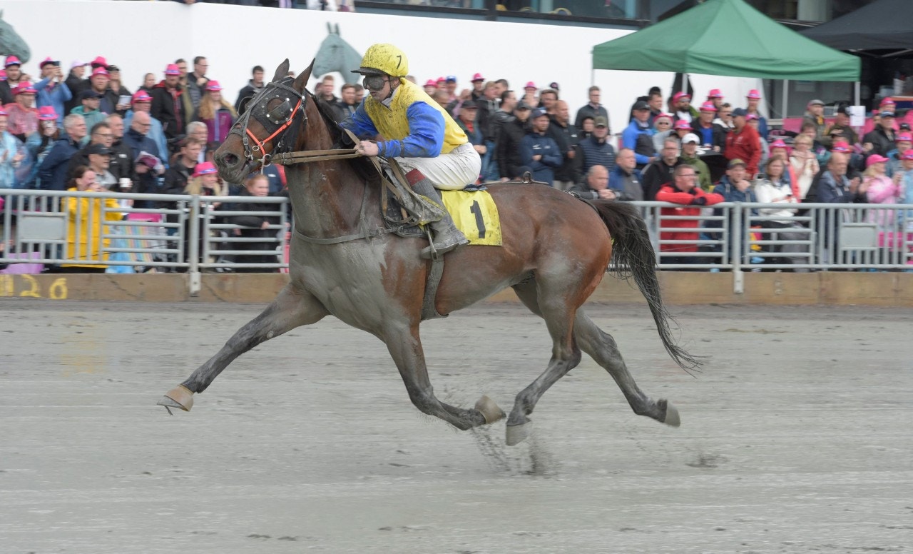 Aigle Jenilou profiterade på stenhårt tempo - och avgjorde lätt i Montéeliten. Foto: Tommy Andersson, ALN
