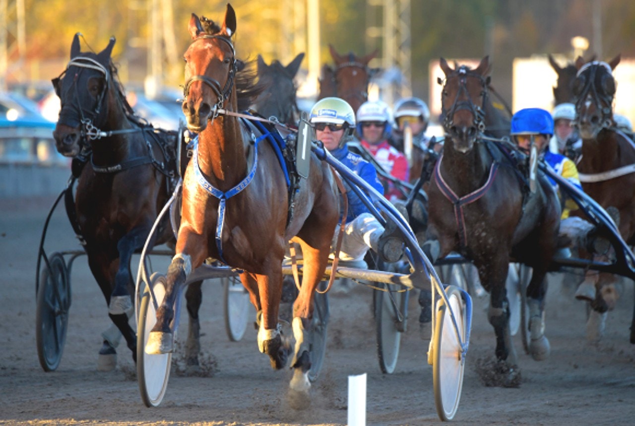 Jägersro 1 oktober: Valetta kvällens drag