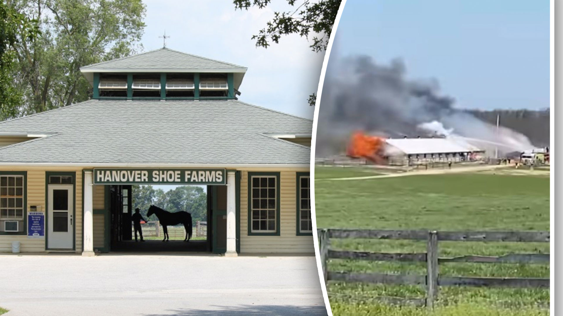 Anrika stuteriet i brand – tolv hästar omkom