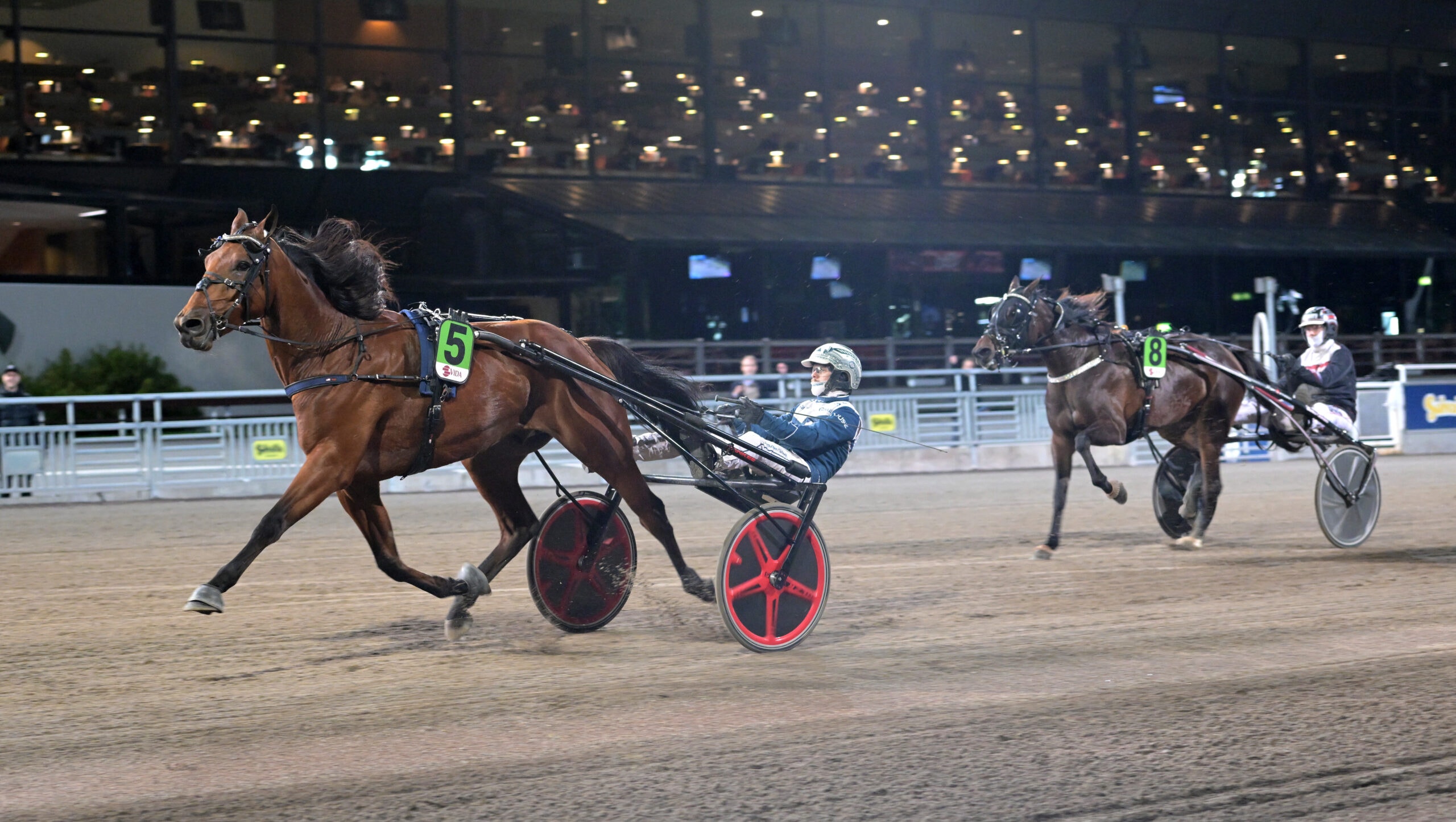 Foto: Lars Jakobsson, TR Bild