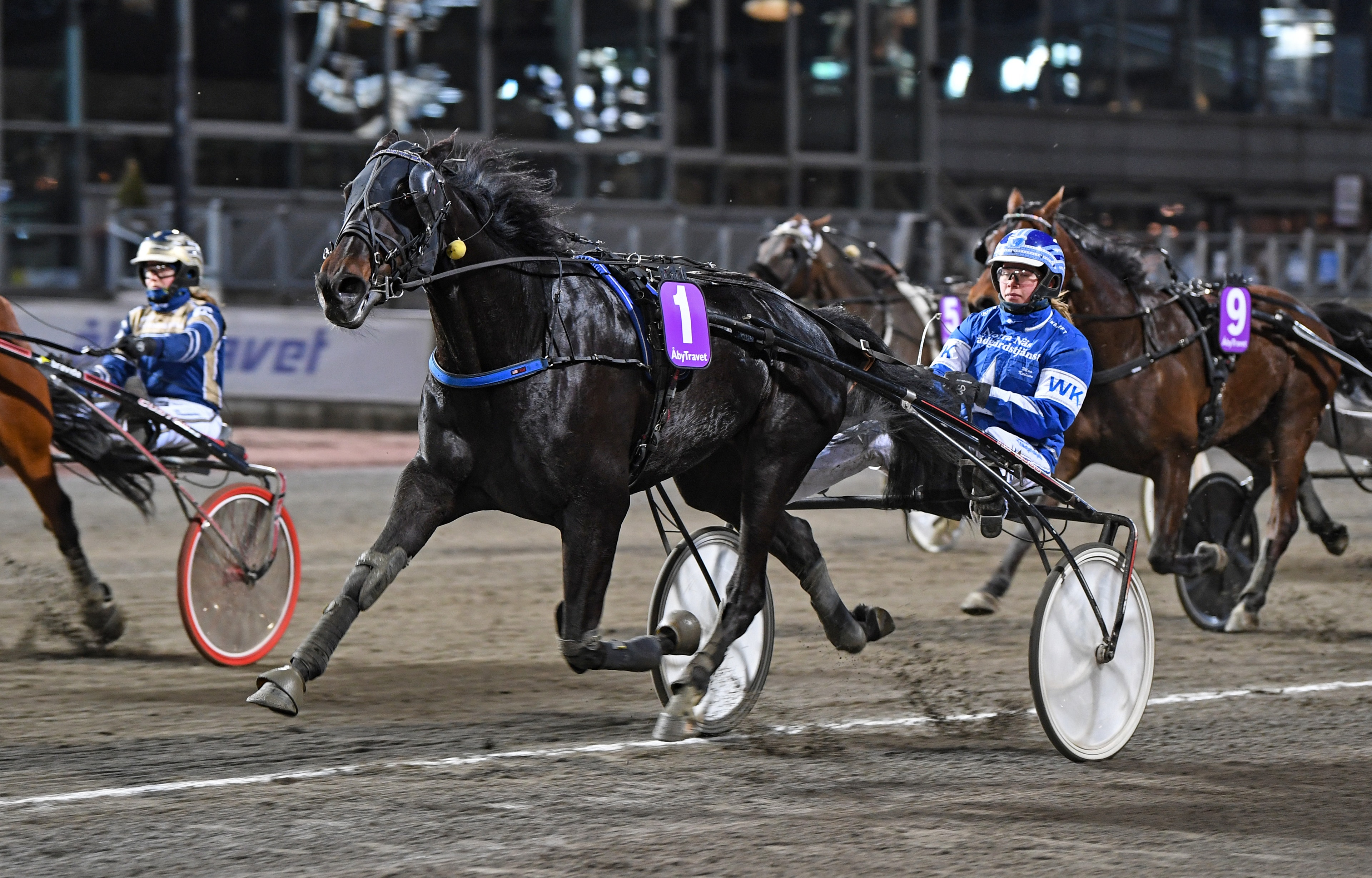 Foto: Malin Albinsson/TR Bild