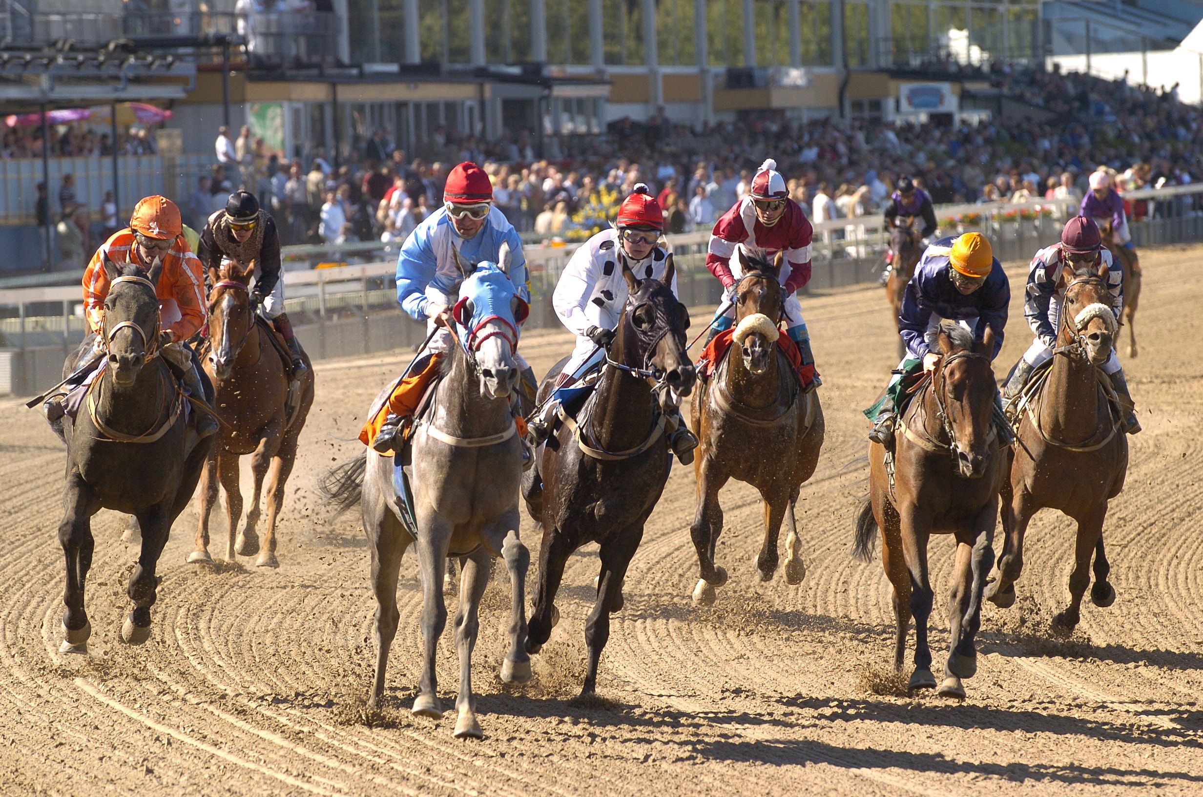 Galopplöp på sandbana med flera hästar och jockeys i färgglada tyglar som springer mot mållinjen. Publik syns i bakgrunden längs banan.