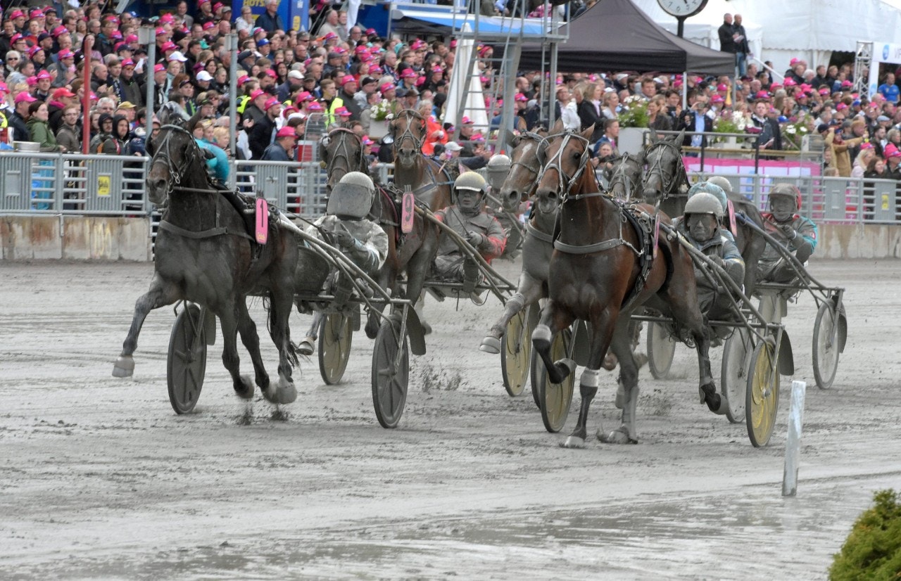 Missle Hill tar säkert ned ledande Evaluate i Fyraåringseliten. Foto: Leif Norberg, ALN