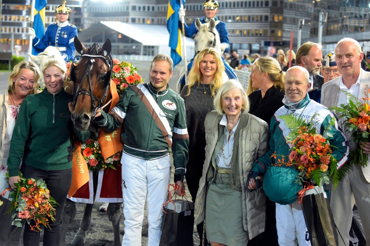 Who's Who är en av hästarna som kan vara med i Prix de Bretagne på söndag. Foto: Martin Langels, ALN
