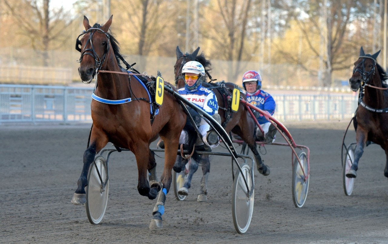 Michael Larsson har ett riktigt ämne i treårige Maestro Zon. Foto: Martin Langels, ALN