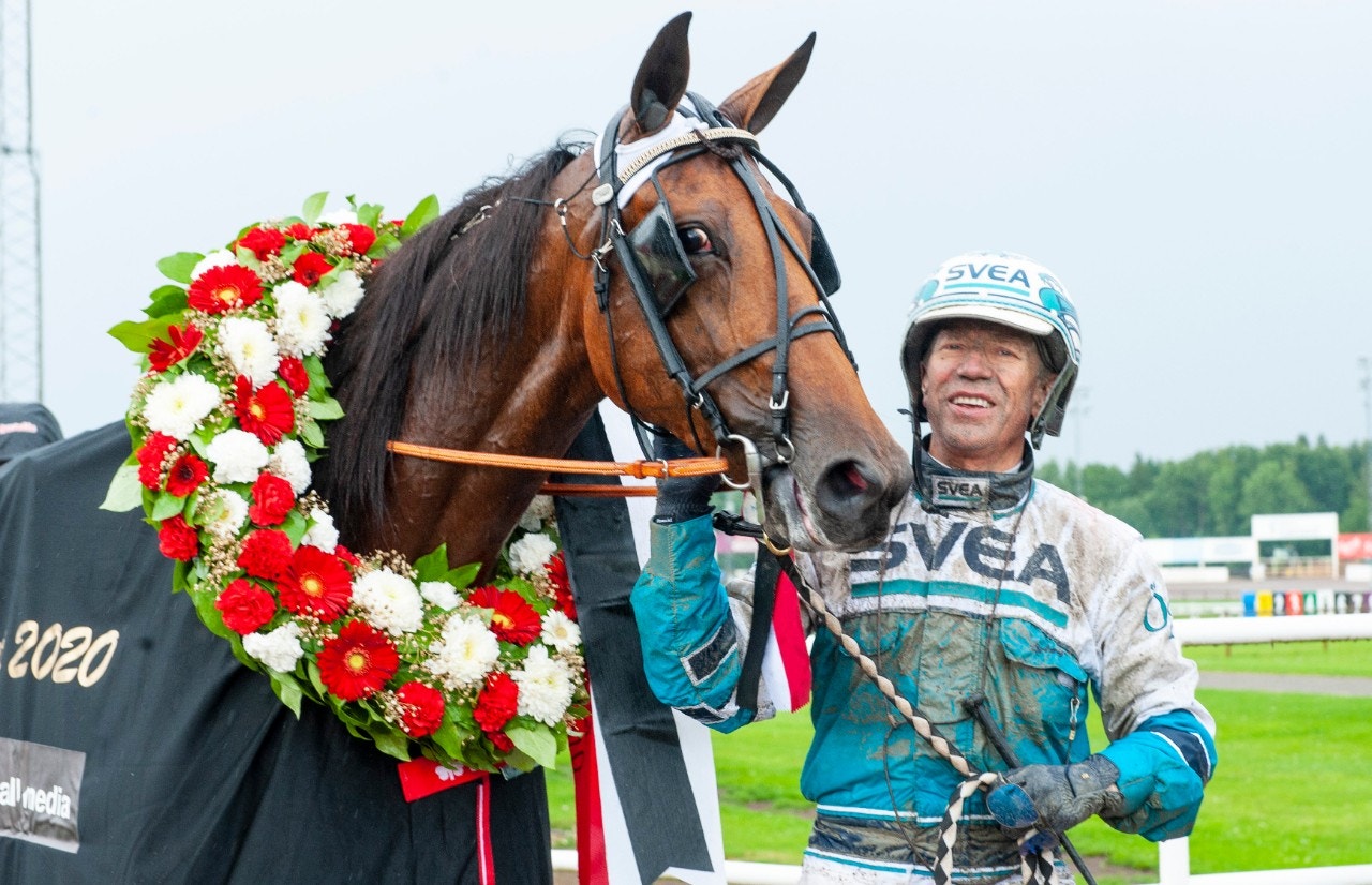 Diana Zet - en av fyra som är nominerade till Årets Häst. Foto: Johan Grundin, ALN