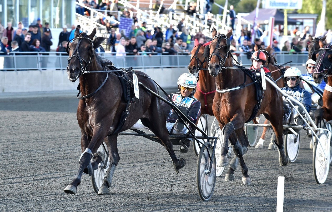 Solvalla/Åby 28 oktober: Soul Tan är en stark vinnare!