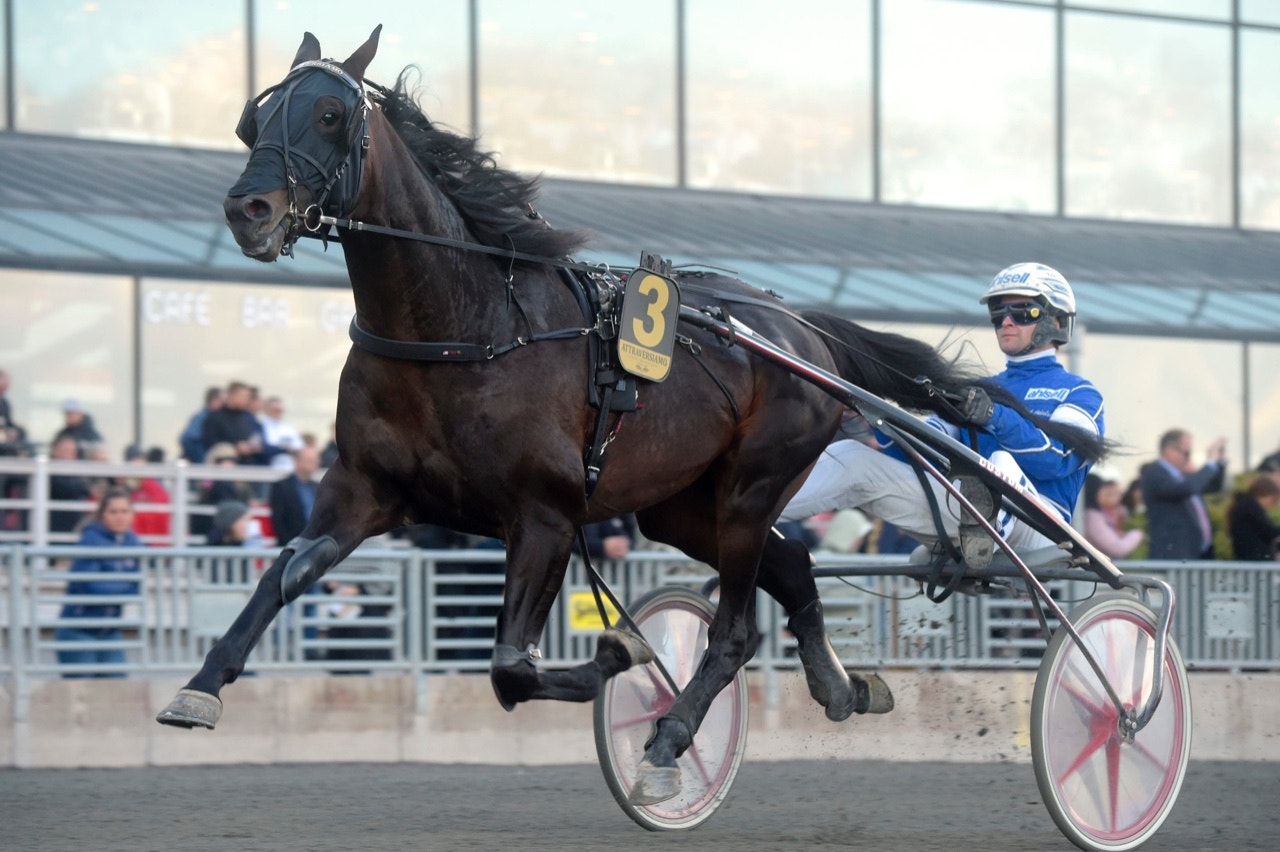 Attraversiamo kommer med mest råg i rygg till Prix Readly Express - Foto: ALN