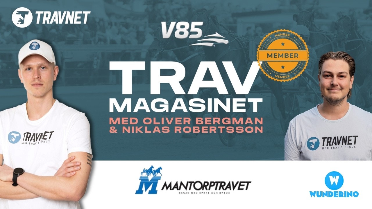 Gästspelaren Gehlin trycker på en intressant idé i V85-7