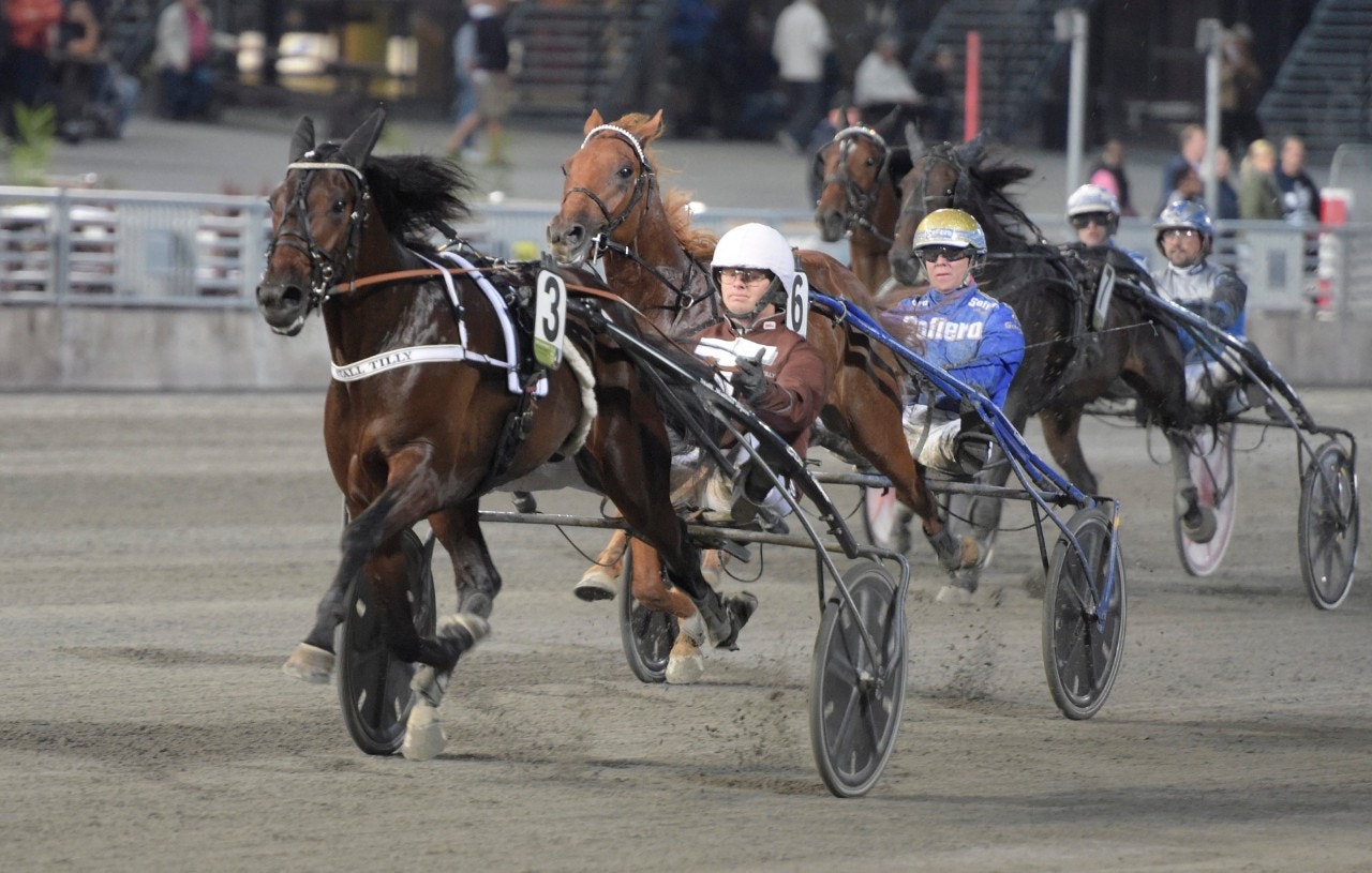 Usain Tilly kommer till uttagningarna som obesegrad. Foto: Leif Norberg, ALN
