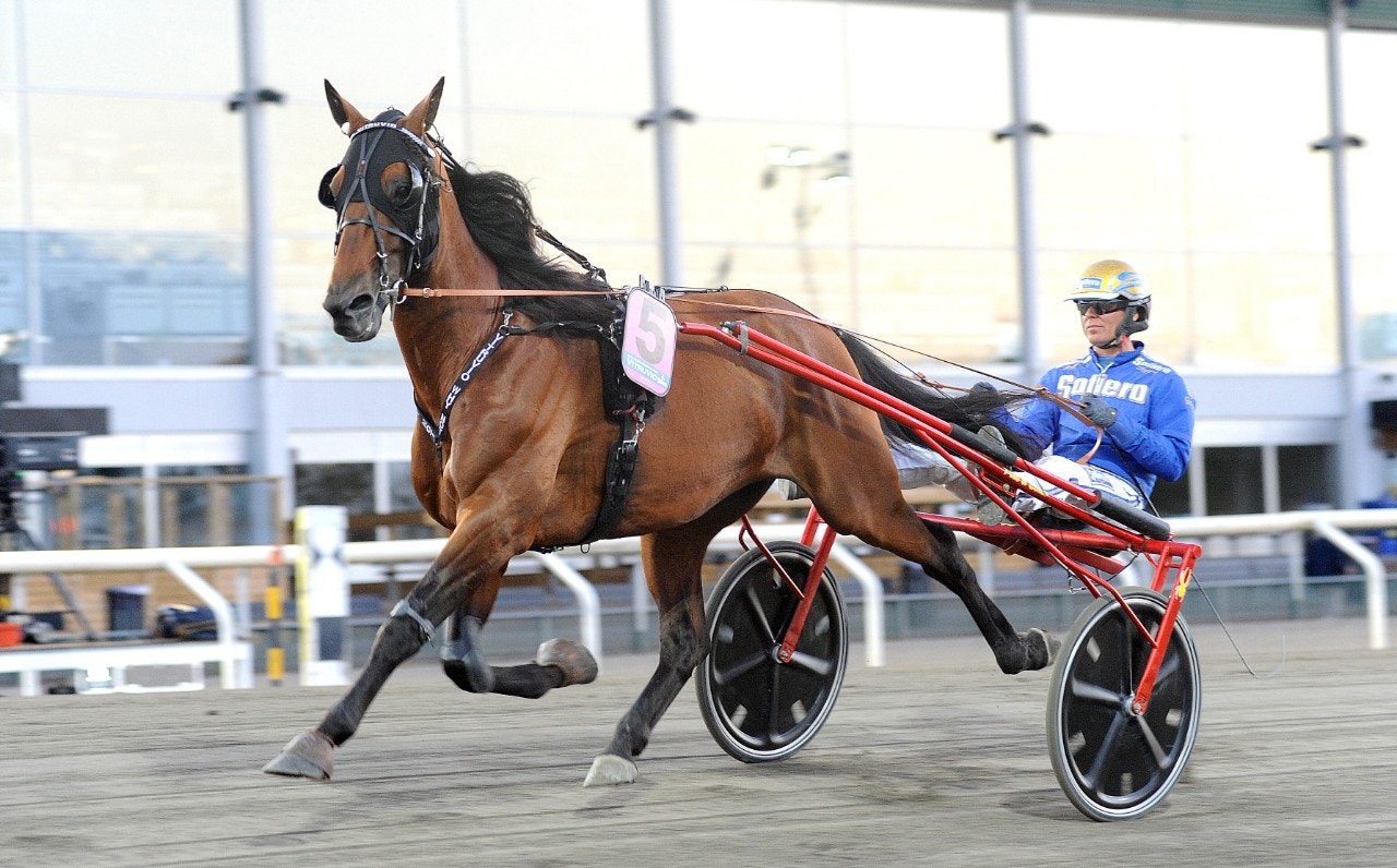 Vitruvio flyttas till Frankrike - och Jean-Michel Bazire. Foto: Jörgen Tufvesson, ALN