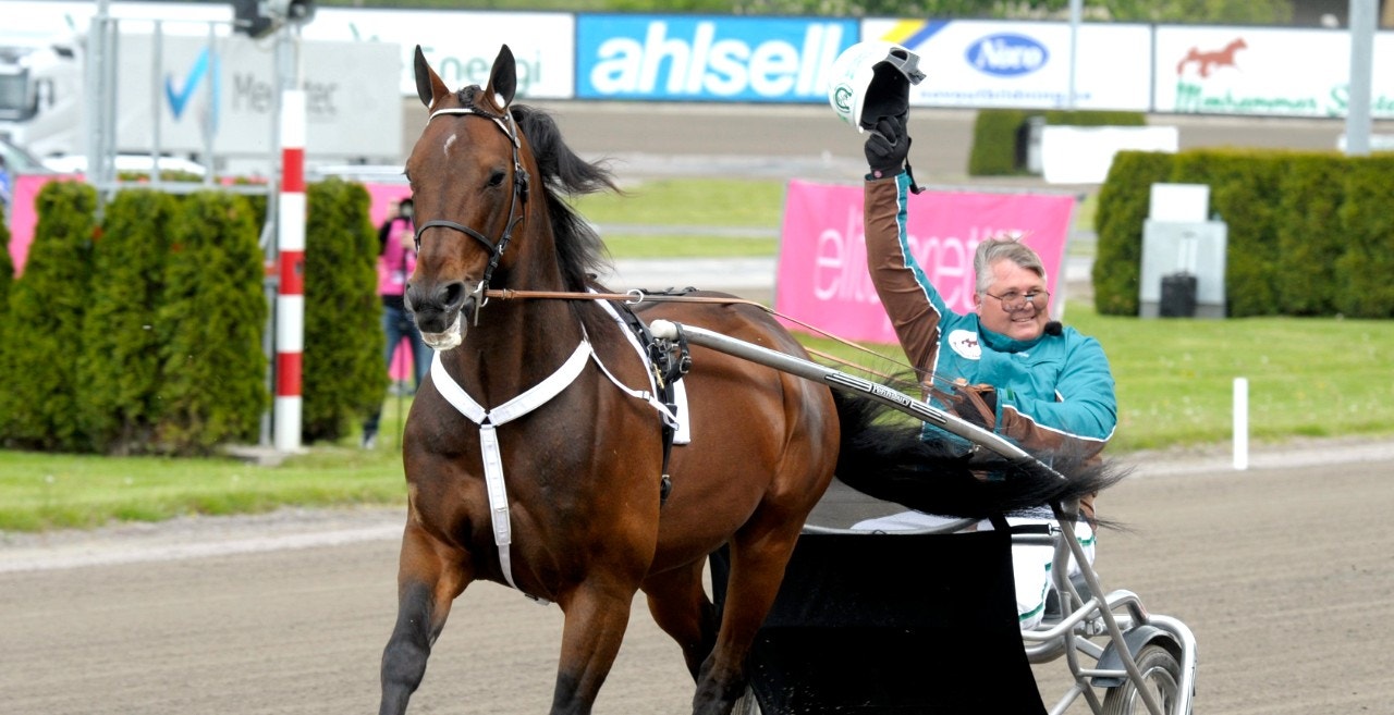 Maharajah, fulltecknad för femte året i följd. Foto: Hanold, ALN
