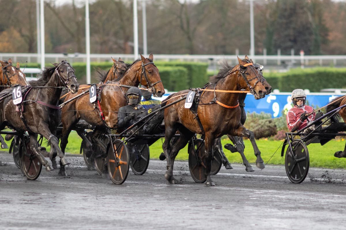 Jabalpur med Gelormini