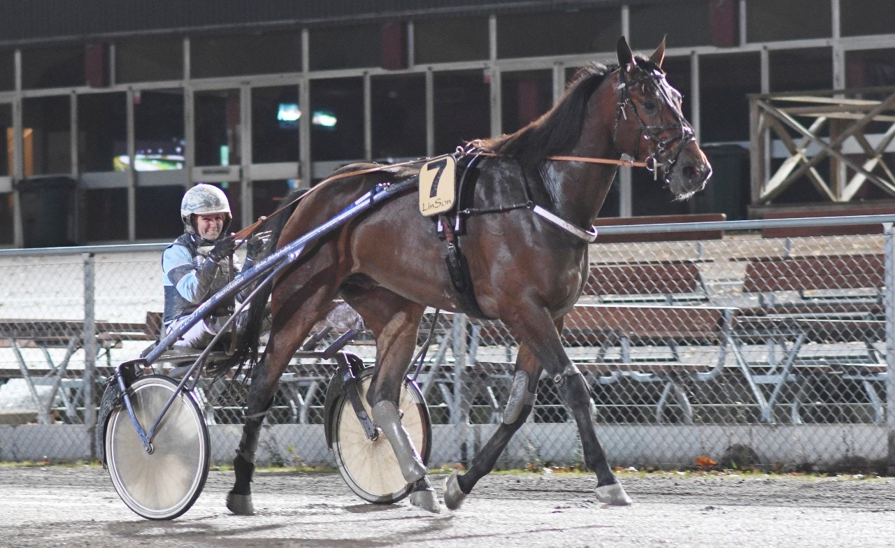 Jägersro/Solvalla 24 februari: Spelet heter revansch!
