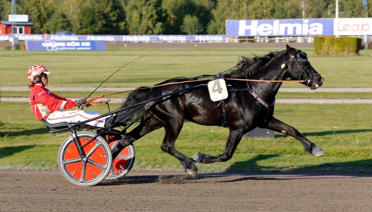 Odd Herakles - nu är han uppe i 19 raka segrar. Foto: Hanold, ALN